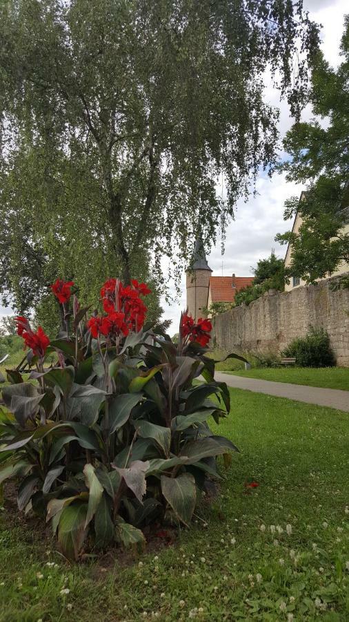 Villa Direkt Am Main Karlstadt Esterno foto